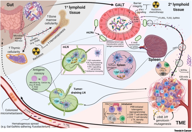 Redrawing therapeutic boundaries