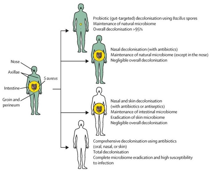 A New Probiotic Strain Can Reduce Staphylococcus aureus Colonisation