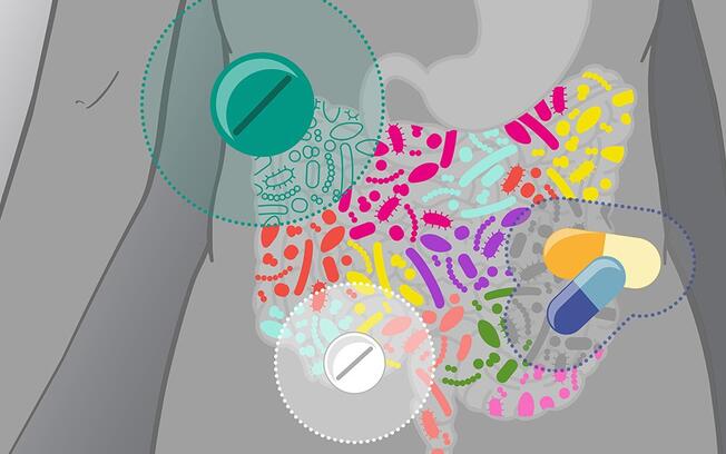 EMBL Grafik