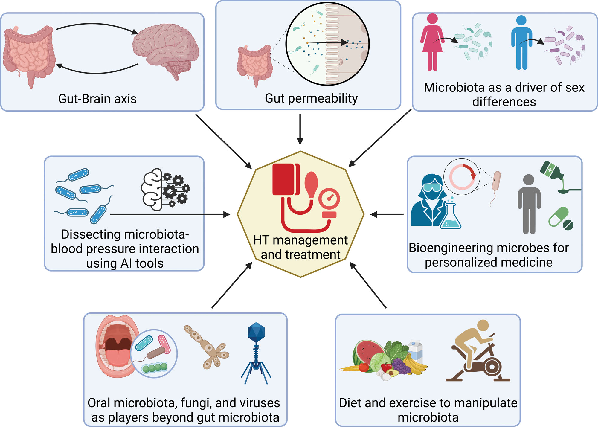 Exploring Microbiota Based Therapies for Hypertension