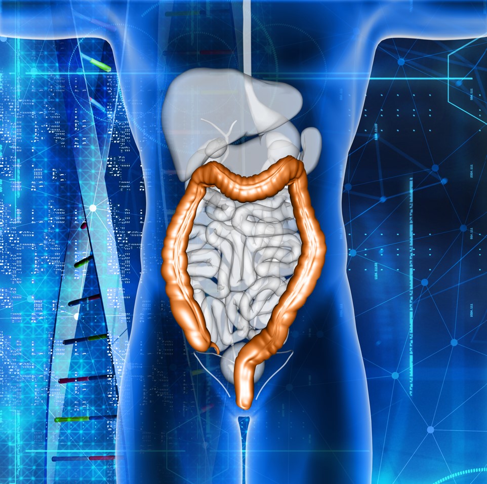 Fecal Microbiota Transplantation