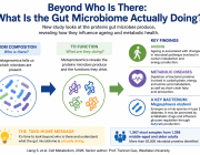 Beyond Who Is There: What Is the Gut Microbiome Actually Doing?