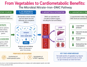 Could Gut Bacteria Explain Why Vegetables Protect the Heart?