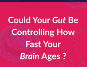 Memory May Begin in the Gut: Nature Study Reveals Microbiota as a Driver of Cognitive Aging