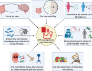 Exploring Microbiota-Based Therapies for Hypertension