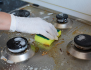 Mapping the Kitchen Microbiota in Five European Countries