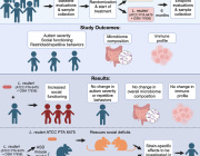 Precision microbial intervention improves social behavior but not autism severity