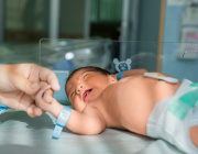 Probiotic Use Increased in US Neonatal Intensive Care Units: Associated With a Decline in Necrotizing Enterocolitis but Not With Sepsis or Mortality Rates