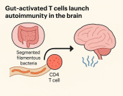 How Gut Inflammation May Trigger Brain Disorders