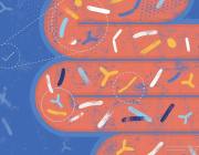 Important step toward next-generation probiotics